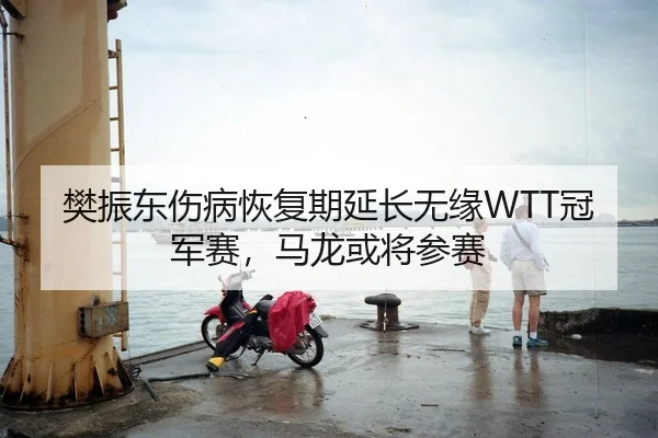 樊振东伤病恢复期延长无缘WTT冠军赛，马龙或将参赛